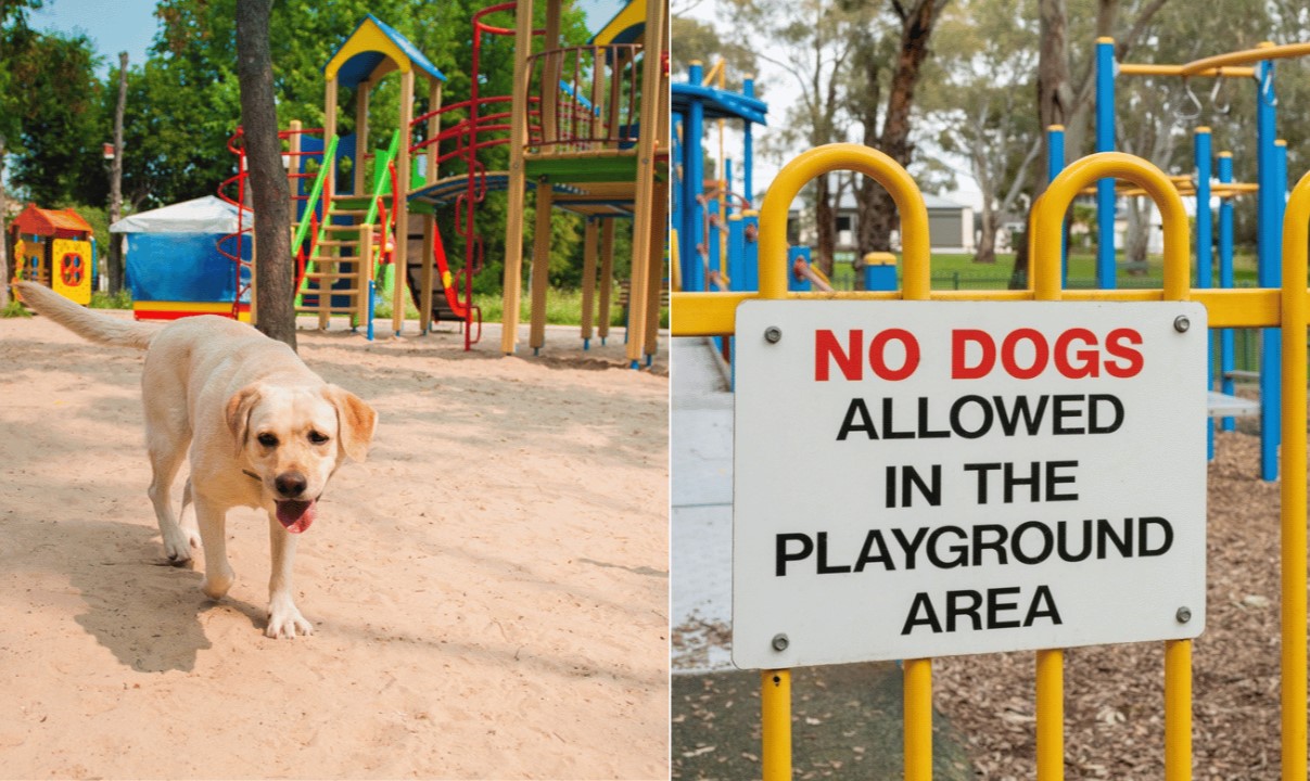 How To Keep Dogs Out Of Child’s Play Area