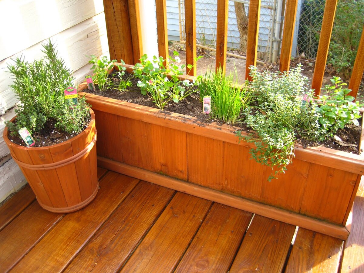 How To Make A Patio Herb Garden | Storables