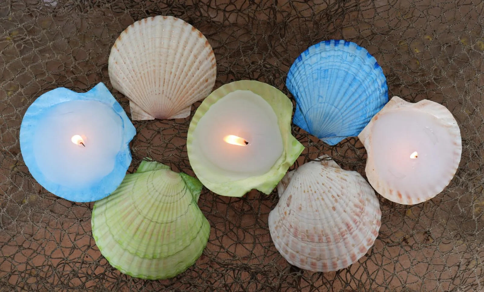 How To Make Candles With Shells In Them