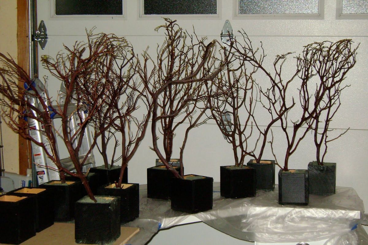 How To Make Tree Branch Centerpieces