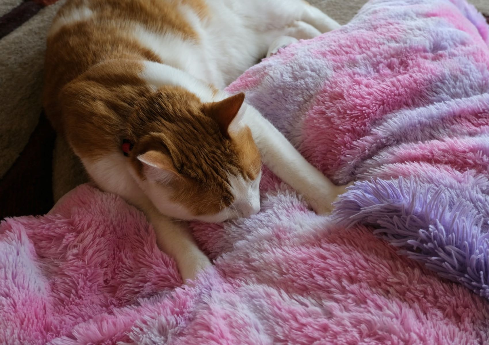 How To Make Your Blanket Fluffy Again