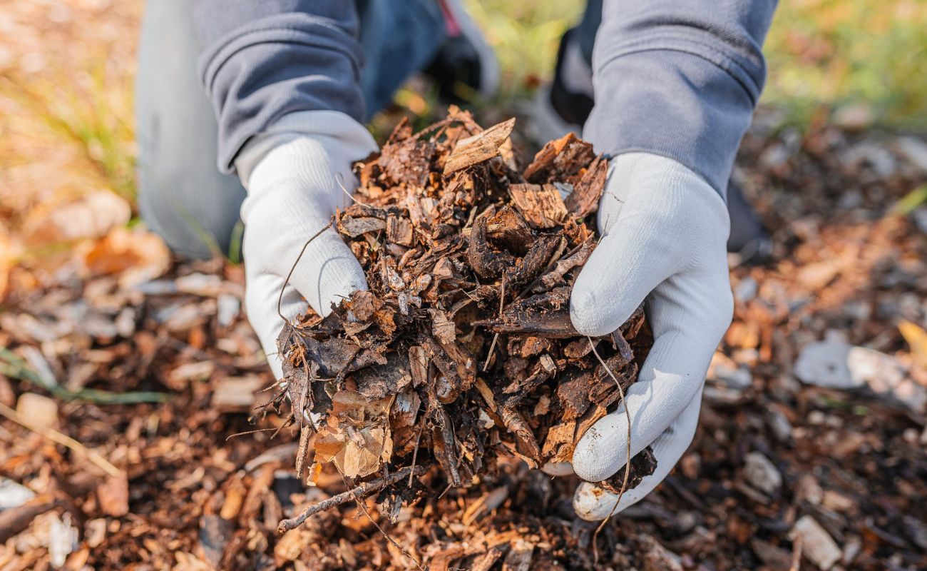 How To Mulch Landscaping