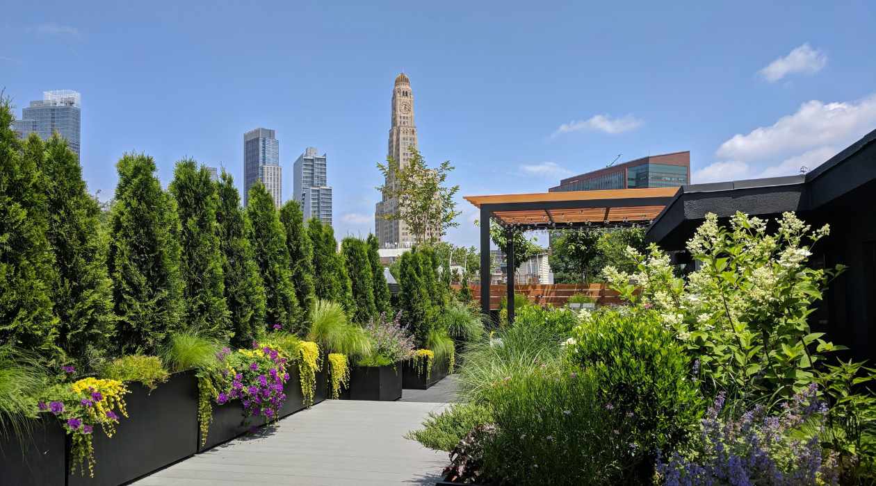 Carbon dioxide ventilation boosts rooftop garden yields