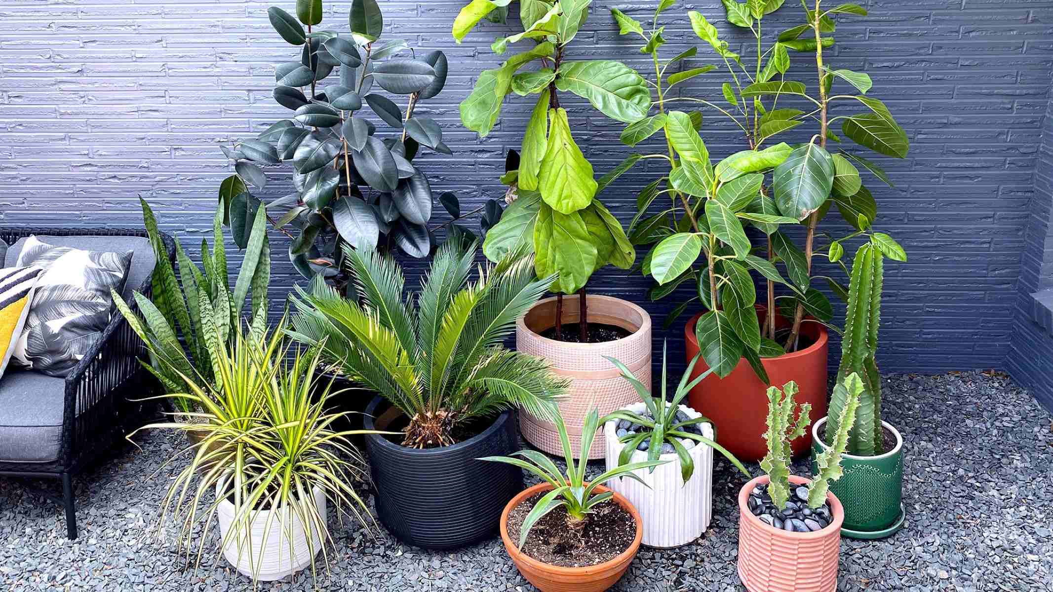 How To Plant In Pots With Drainage Holes