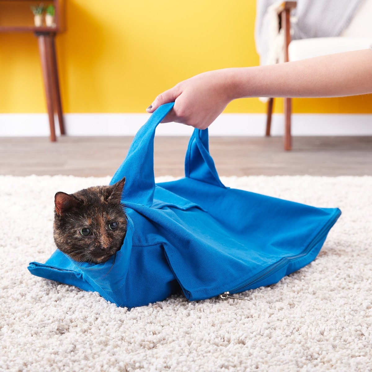 How To Put A Cat In A Carrier Using A Pillowcase