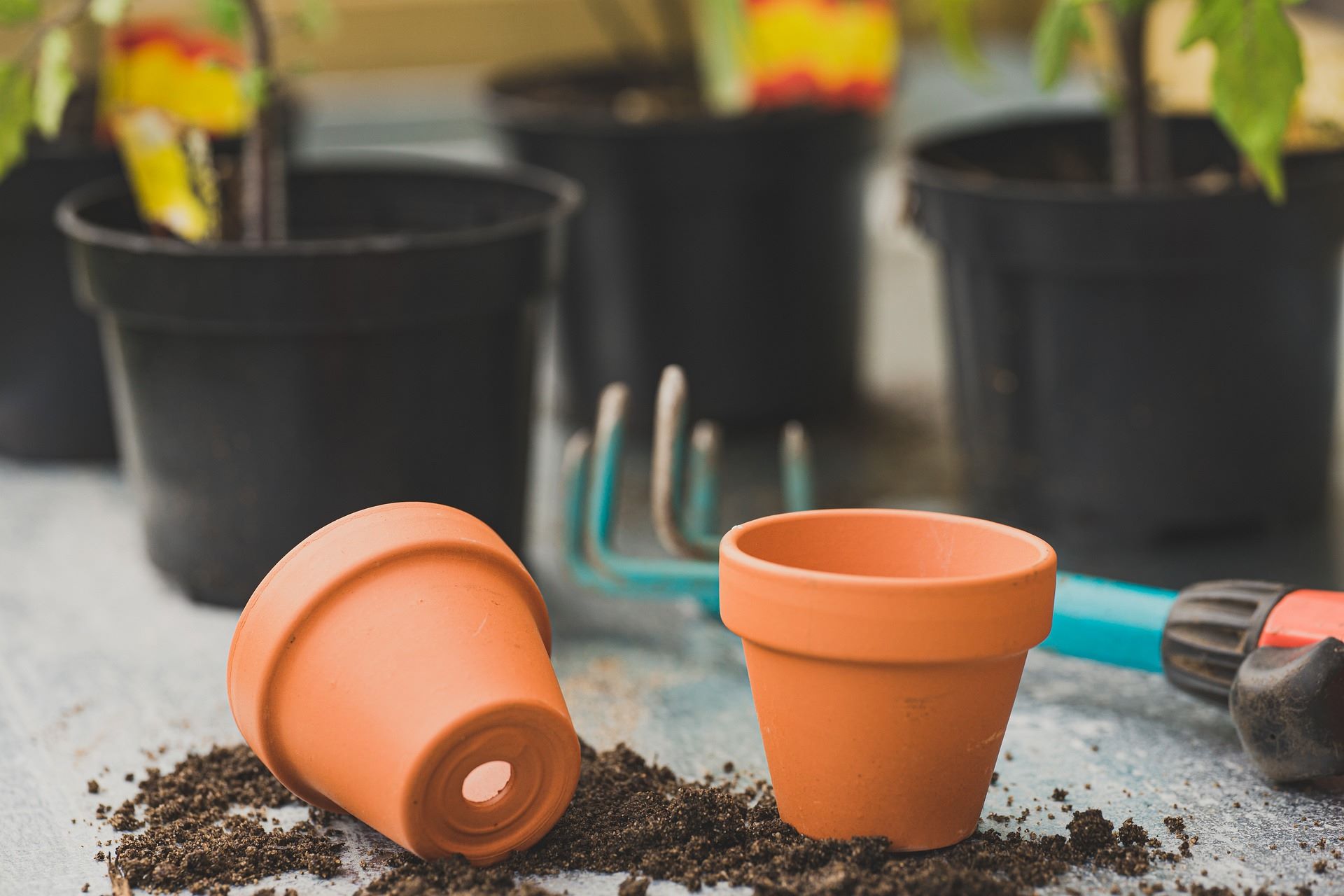 How To Put Drainage Holes In Plastic Plant Pots