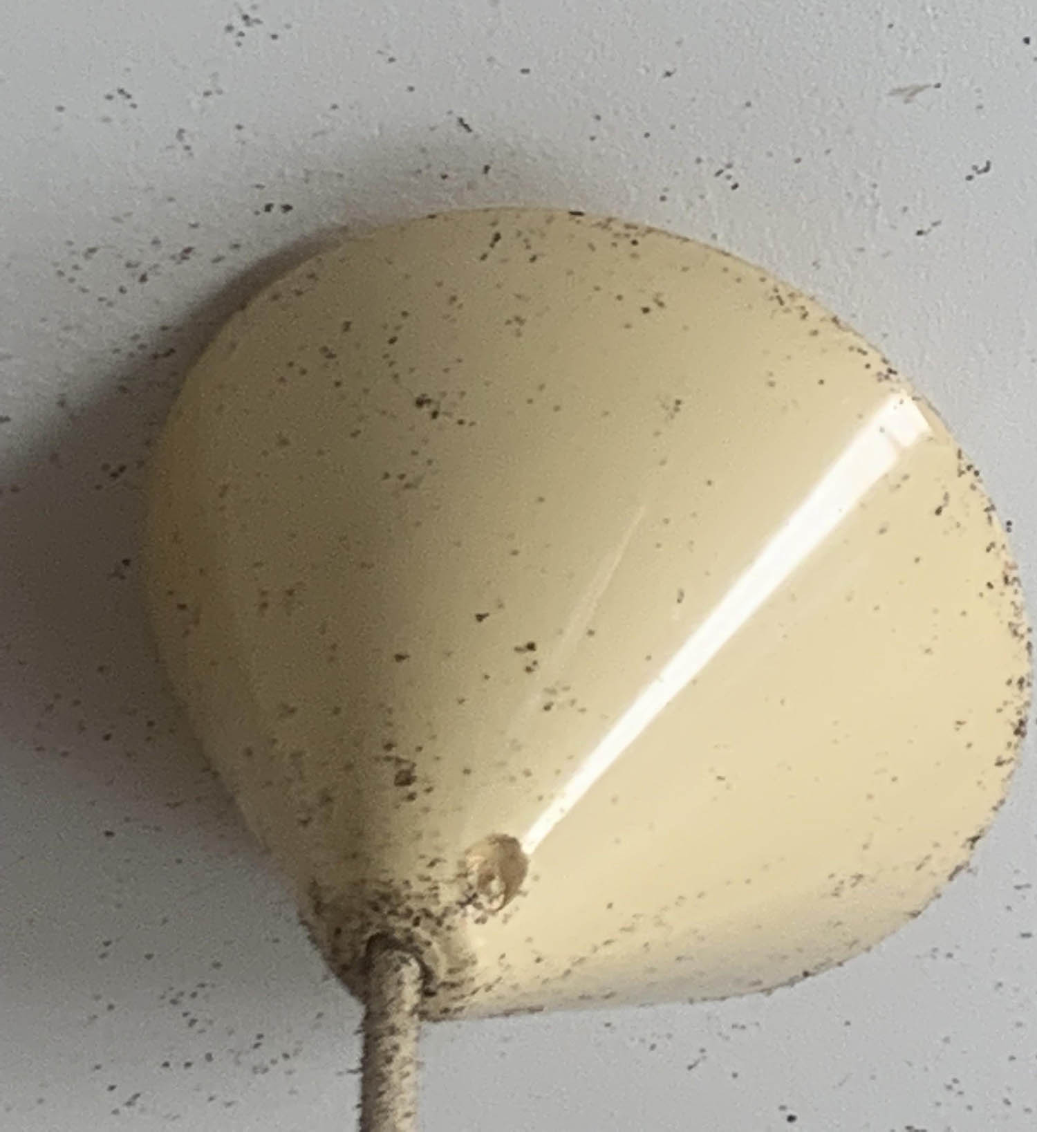 How To Remove Fly Poop From Lamp Shades