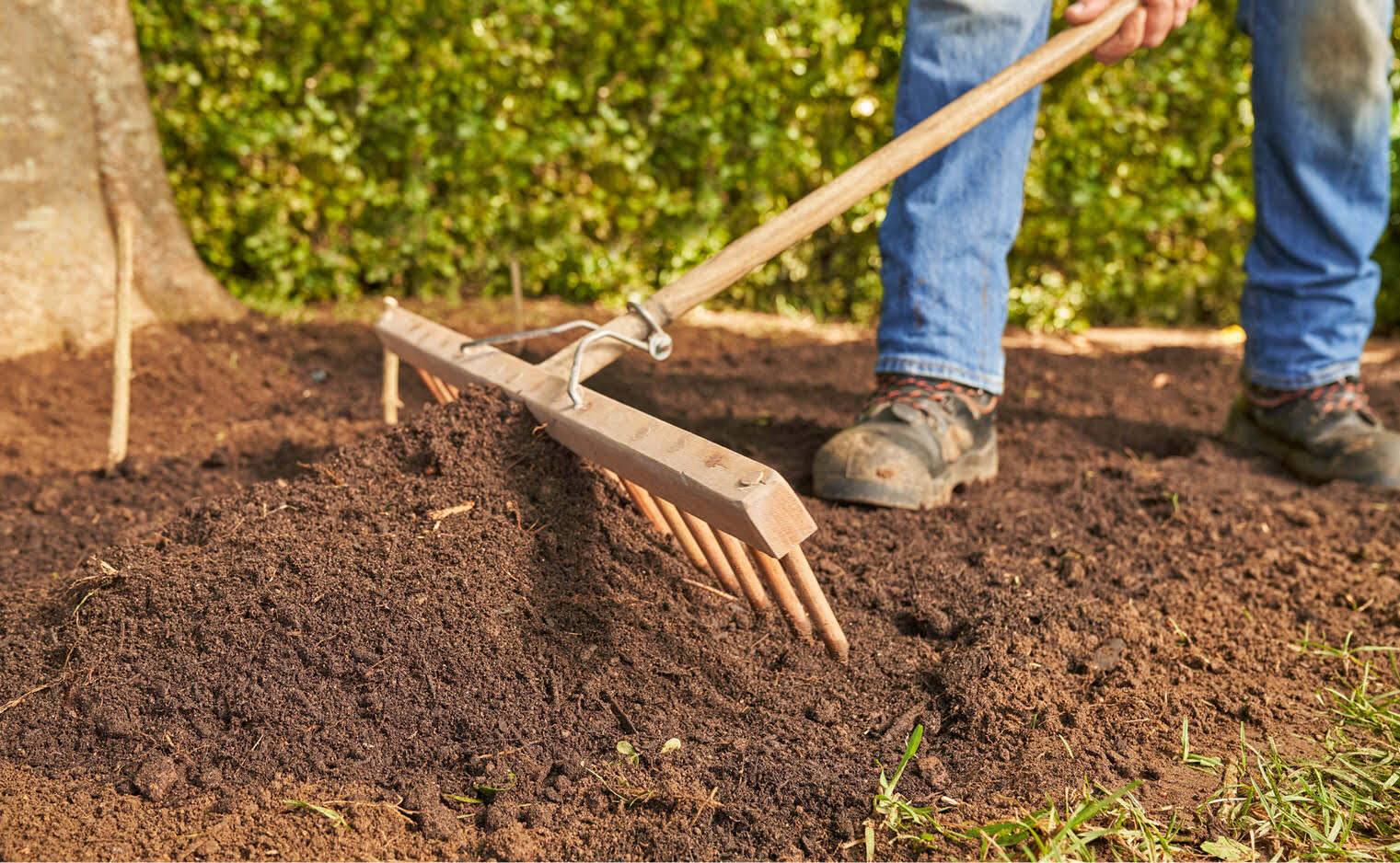 How To Remove Ground Cover