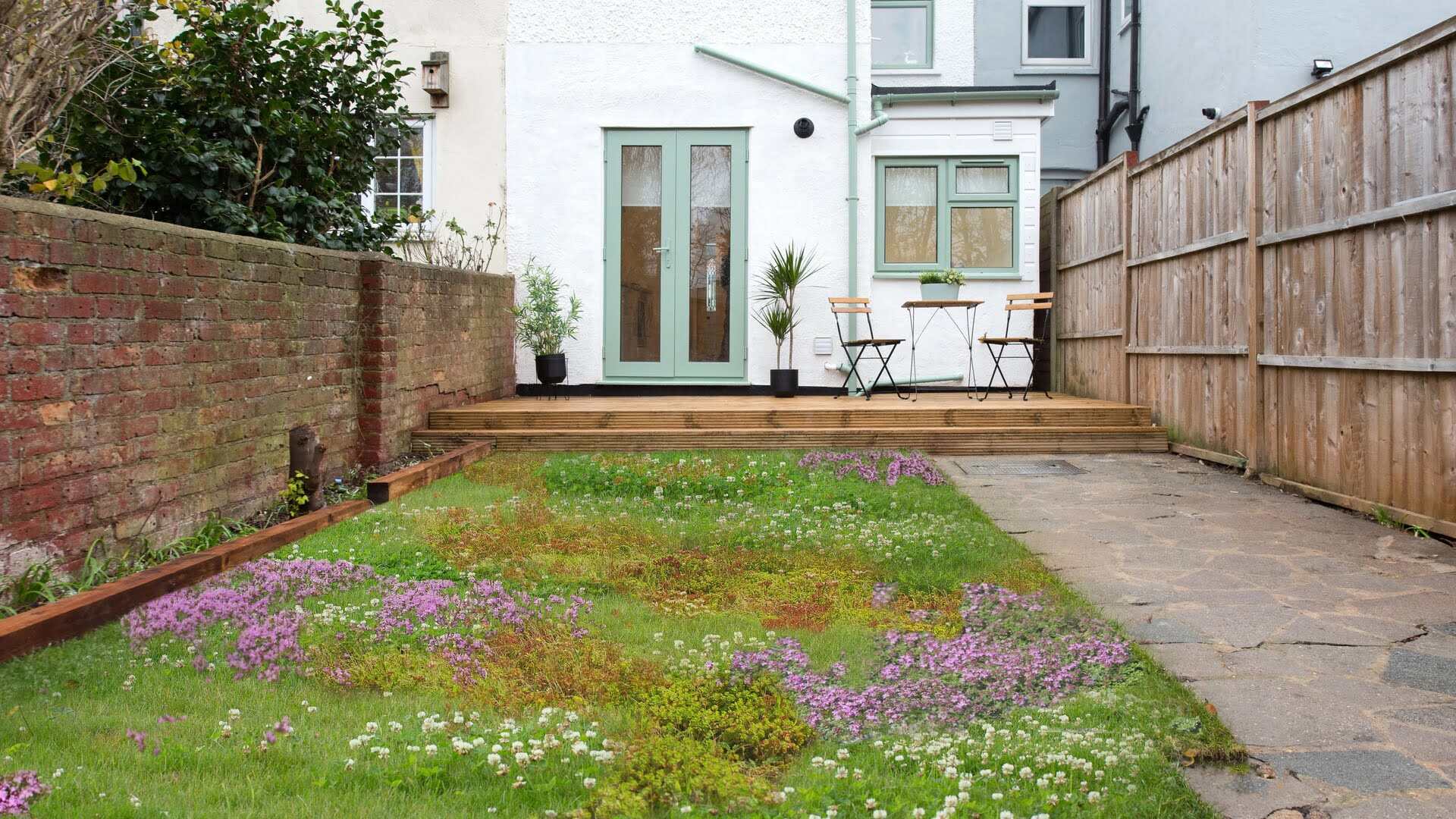 How To Replace Lawn With Ground Cover