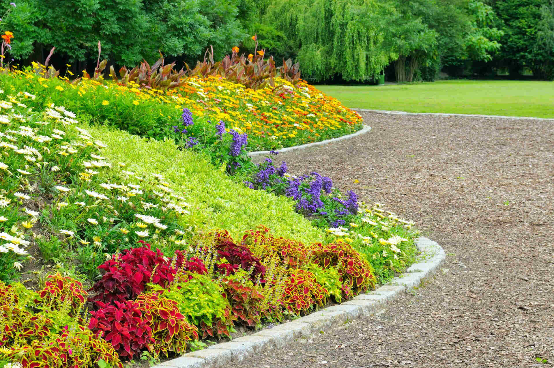 How To Start Hillside Ground Cover