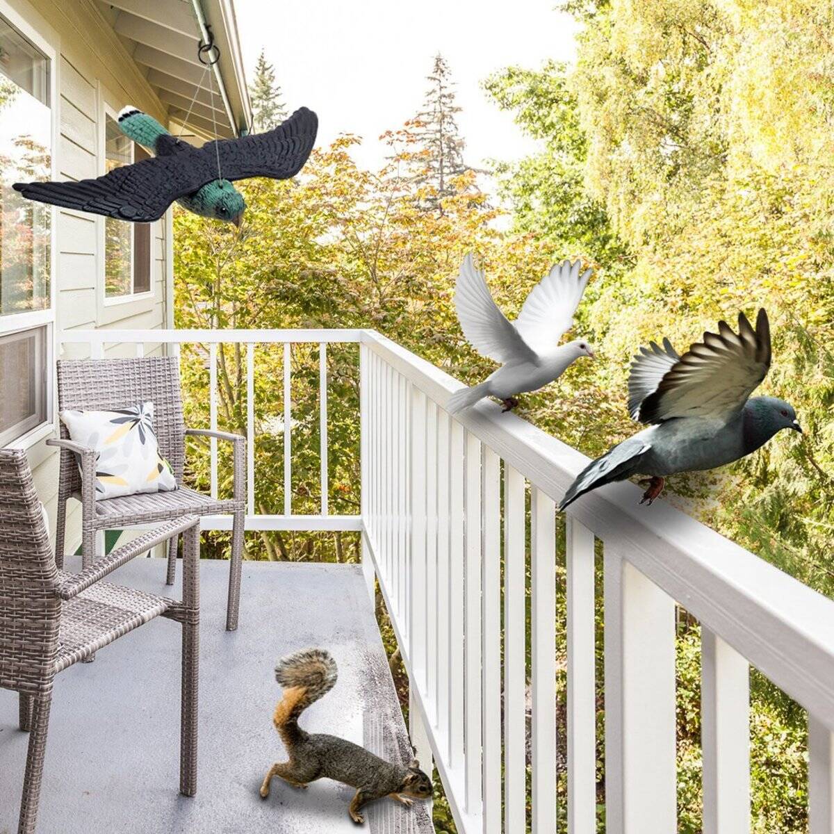 The Best (and Worst) Ways to Clean Bird Poop From Your Patio