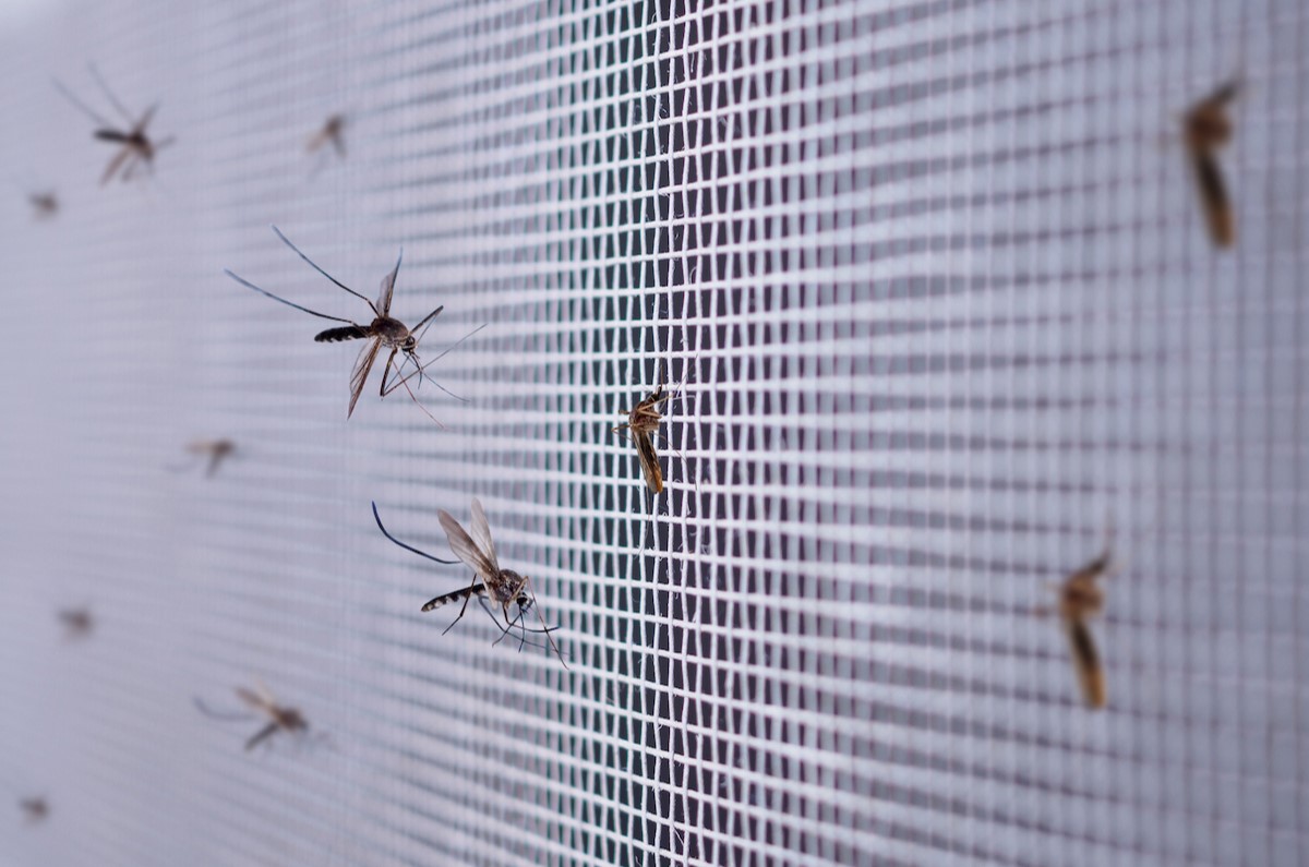How To Stop Bugs From Coming Through An Air Conditioner