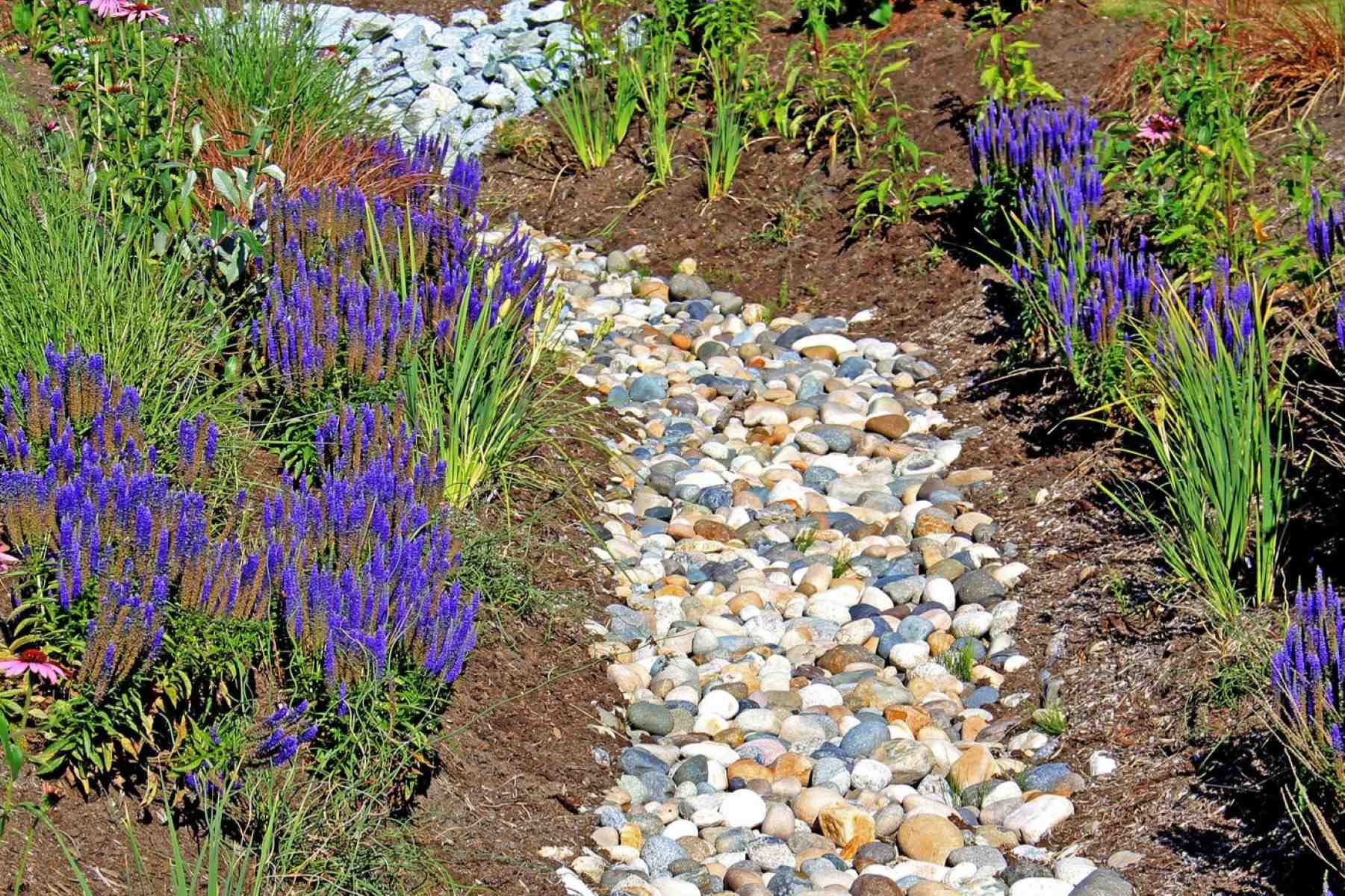 How To Use Rocks For Plant Drainage