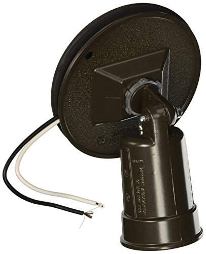 Hubbell-Raco 5624-2 Combination Weatherproof Lamp Holder