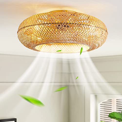 Hummingbird Boho Rattan Ceiling Fan with Light, Remote Control, 20 Inch