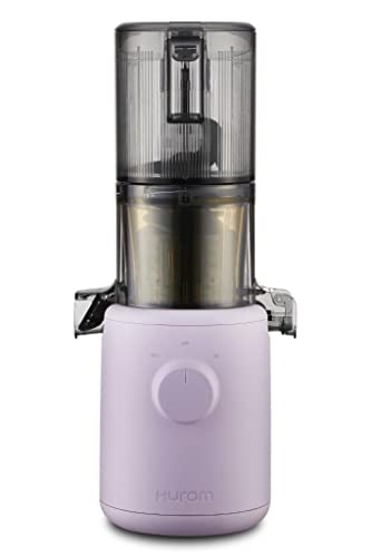 Hurom H310A Slow Masticating Juicer