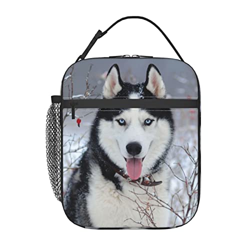 Husky Dog Insulated Lunch Box