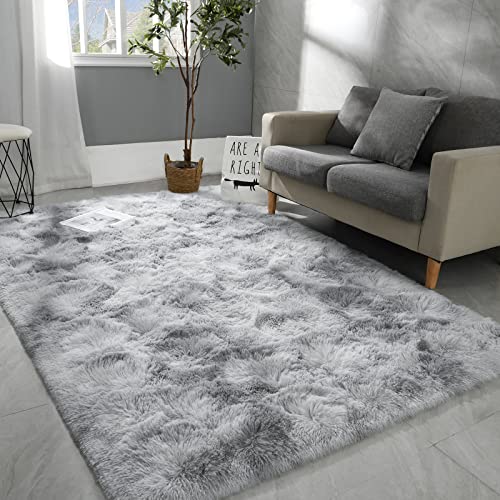 Hutha 4x6 Large Area Rugs for Living Room