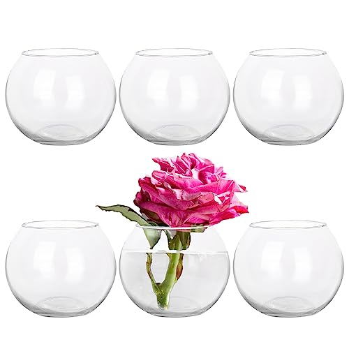6-Piece Clear Glass Vase Set for Wedding and Home Decor