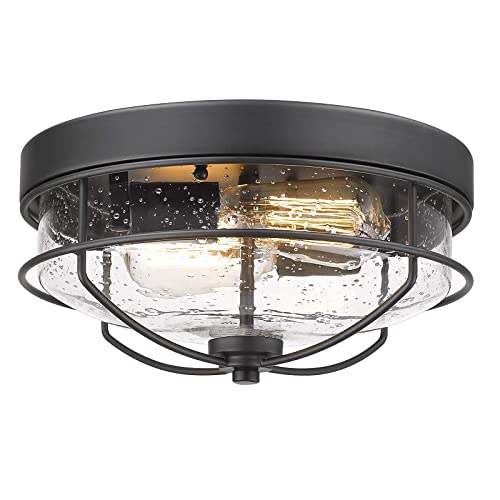 HWH INVESTMENT Flush Mount Ceiling Light Fixtures