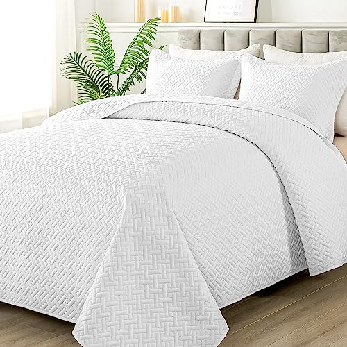 HYLEORY Quilt Set - Soft Lightweight Quilts Summer Quilted Bedspreads