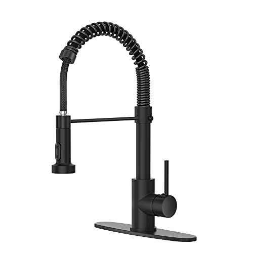 IBOFYY Black Kitchen Faucets