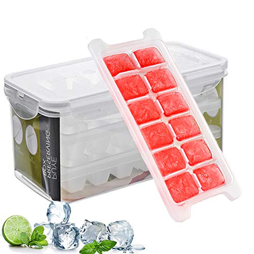 Ice Cube Trays and Storage Container Set