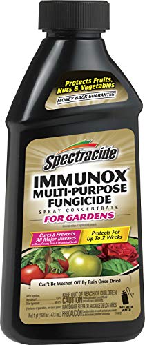 Immunox Multi-Purpose Fungicide Spray Concentrate