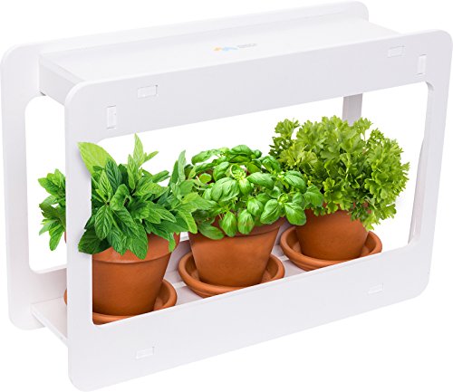 Indoor Herb Vegetable Plant Garden Kit