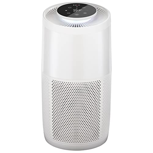 Instant HEPA Quiet Air Purifier with Plasma Ion Technology