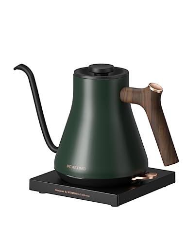 Intasting 0.9L Green Stainless Steel Electric Kettle