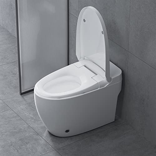 Intelligent Modern White Tankless Toilet