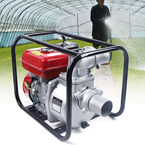 DNYSYSJ 7.5HP Portable Gas Water Pump for Agricultural Irrigation