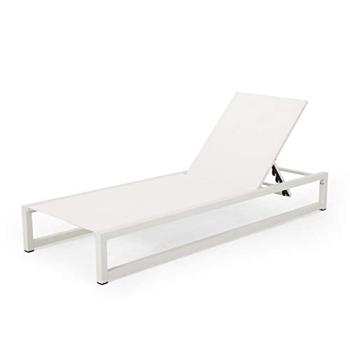 Jerome Outdoor Aluminum Chaise Lounge