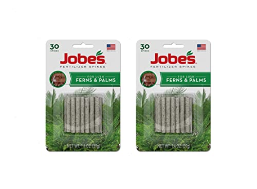 Jobe's Fern & Palm Fertilizer Spikes
