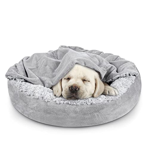 JOEJOY Small Dog Bed Cat Bed with Hooded Blanket