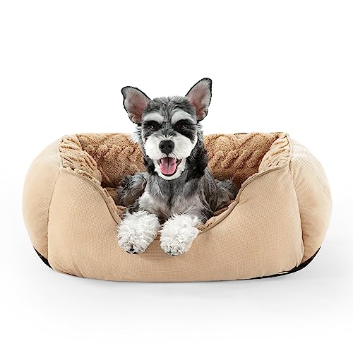 JOEJOY Small Dog Bed for Medium Small Dogs