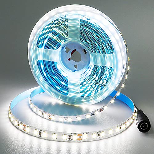 JOYLIT 24V Daylight LED Light Strip