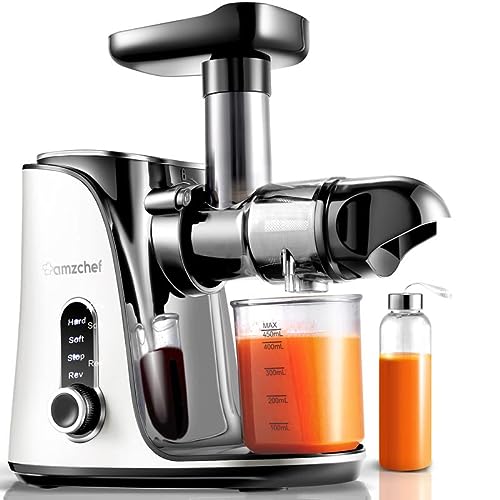 AMZCHEF Cold Press Juicer with Two Speed Modes