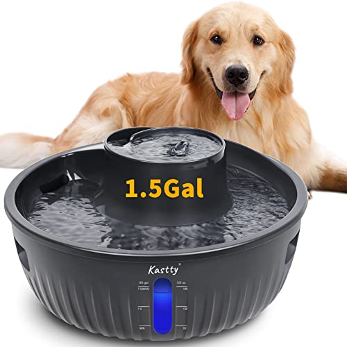 Kastty 195oz/6L Dog Water Fountain