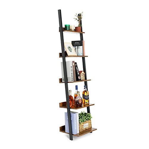 Kdpranky 5-Tier Modern Wall Leaning Shelf Organizer