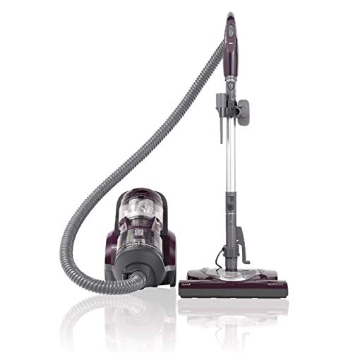 Kenmore Lightweight Bagless Canister Vacuum