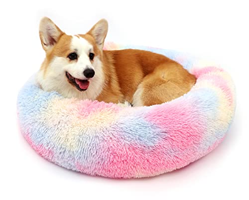 kimpets Dog Bed Calming Dog Beds for Small Medium Large Dogs