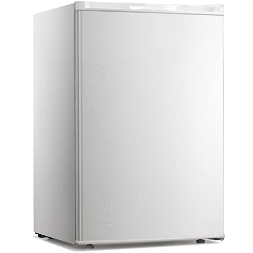 Kismile 3.0 Cu.ft Compact Upright Freezer