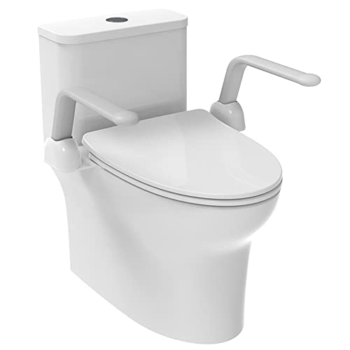 KSITEX Toilet Safety Rails