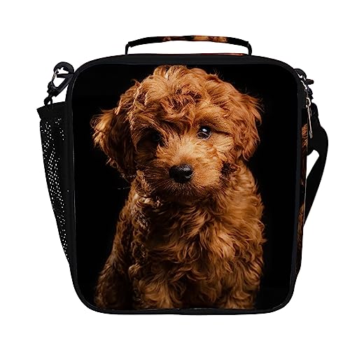 Labradoodle Lunch Bag