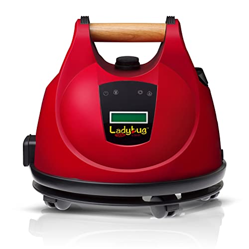 10 Amazing Ladybug Steam Cleaner For 2024 | Storables