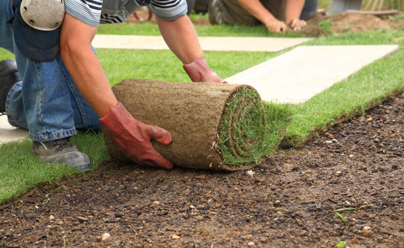 Landscaping: How To Start