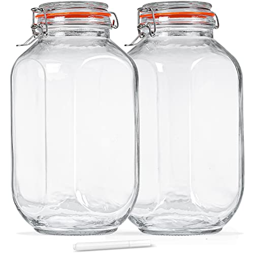 Large Glass Storage Jars with Airtight Lids