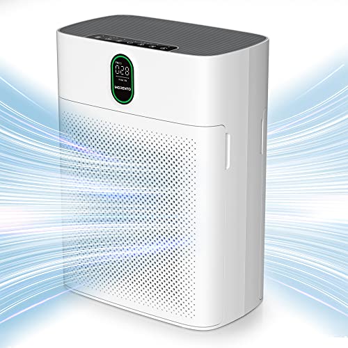 Large Room Air Purifier with PM 2.5 Display